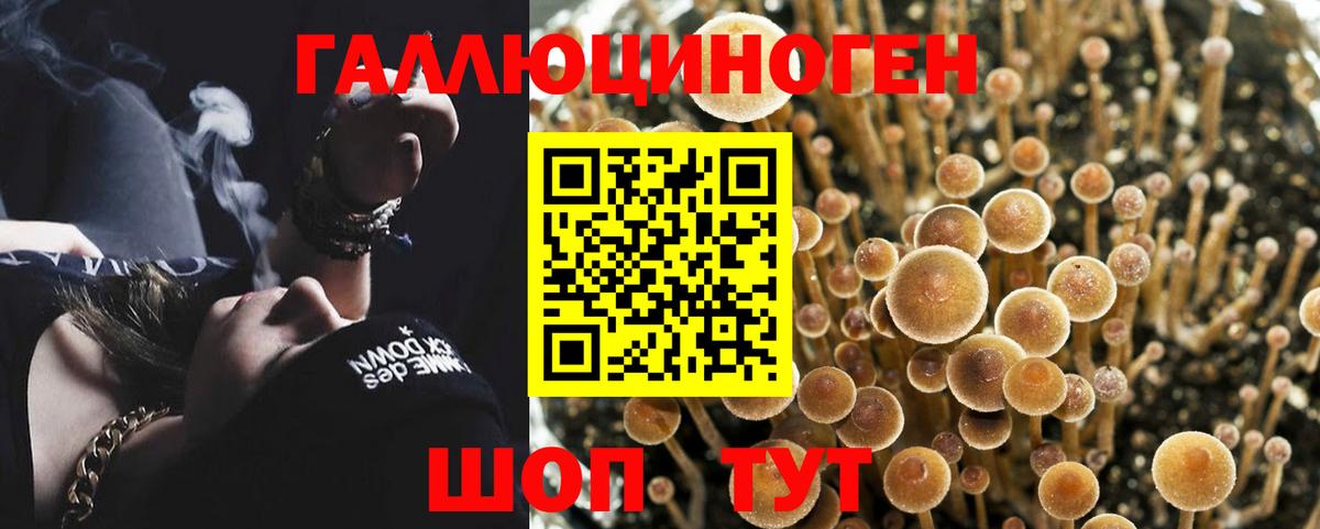 Пыть-Ях  Псилоцибиновые грибы прущие грибы  Вход с VPN 